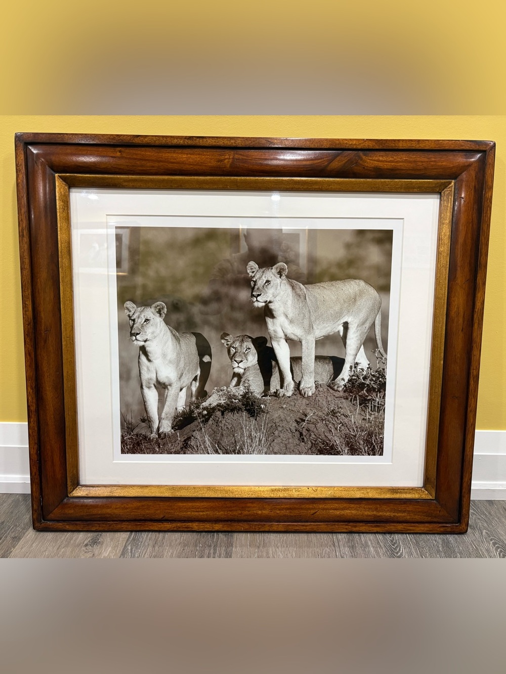 Trowbridge framed art